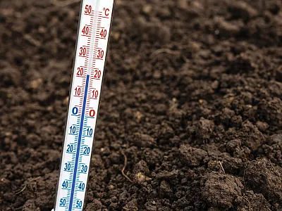 Photo courtesy of Adobe Stock/shintartanya.