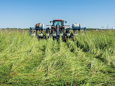 An Indiana farmer “plants green,” seeding corn directly into a 12-way cover crop mix. Photo by Brandon O'Connor, Indiana NRCS.