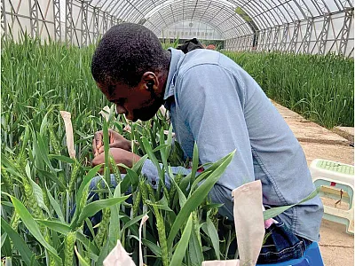 Photo courtesy of Amo Aduragbemi.