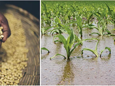 Trade disruptions, reduced amounts of stored food, climate change, instability in some countries' governments, and the limited availability of critical resources may be creating a perfect storm that could result in an inability to meet the world's food requirements. Photos courtesy of Flickr/JAXPORT, Flickr/USAID, Adobe Stock/JJ Gouin, and Adobe Stock/Ajdin Kamber.