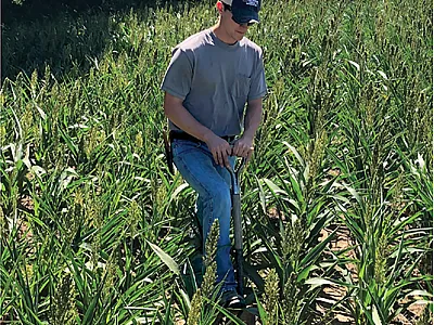 Missouri farmer Lance Conway examines soil in a sorghum field where the wheat cover crop was grazed prior to planting. Photo courtesy of Lance Conway.
