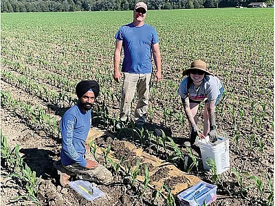 Lead author Navdeep Singh (left), Edward James Scheenstra, and Alexis Leigh Perez collect soil samples for texture analysis at a grower's field having controlled drainage and subirrigation infrastructure. Photo courtesy of Gabriel T. LaHue.