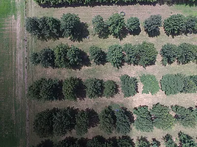 The Ozarks agroforestry site near University of Arkansas, viewed from above. Photo courtesy of Amanda Ashworth.