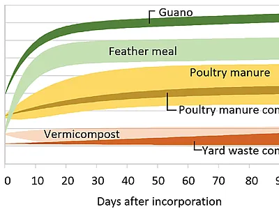 Simulated nitrogen availability from organic fertilizers and composts. The range shows nitrogen availability for materials with the lowest and highest carbon-to-nitrogen ratio from a literature survey. The calculations assumed optimal moisture content and a constant temperature of 77 °F. Created by Daniel Geisseler.