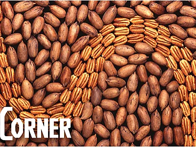 Dr. Asmeret Asefaw Berhe was confirmed by the Senate in May to serve as the new Director of the Office of Science for the Department of Energy.