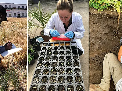 “It will be the first-hand experiences of members, and their collective energy and passion to pursue new ideas, that will allow the Societies to have the biggest impact on the world they can,” says new ACSESS CEO, Jim Cudahy. Photos courtesy of (l to r): Aduragbemi Amo, Anne Dinges, and Carlos Bonini Pires.