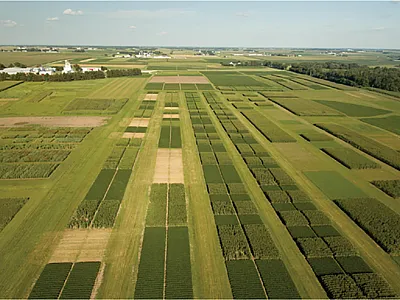 Aerial view of the long-term crop rotation study used for this research at the Arlington Agricultural Research Station in Wisconsin. Photo by John M. Gaska.