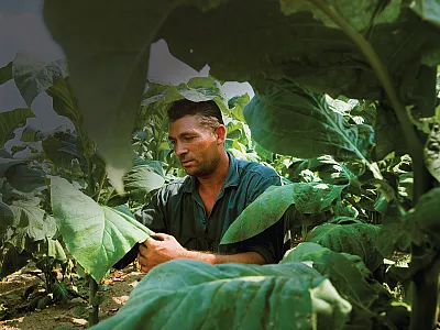 Photo by David Forbert/agefotostock.