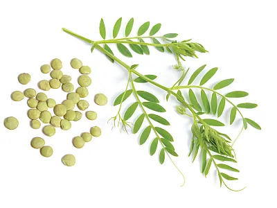 Photo courtesy of Adobe Stock/spline_x.