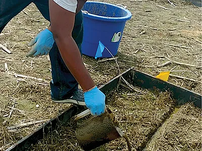 Lead author Dr. Sheldon Hilaire prepares a subsurface injection treatment of field plots at Virginia Tech’s Kentland farm by pouring liquid dairy manure into a premade injection slit. Photo by Dr. Jesse Radolinski.