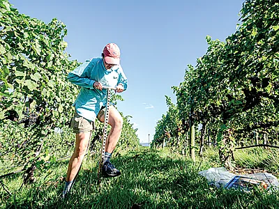 To address the current and emerging challenges to build a resilient and equitable agricultural system for the future, we must not only maintain, but also grow, the investment in USDA-sponsored research. Photo by Jaclyn C Fiola.