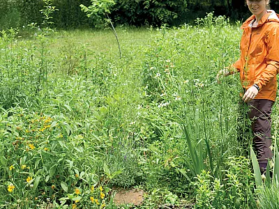 First author Rachel Bechtold conducts a plant survey as part of an ongoing effort to increase knowledge of species richness in prairie areas of Cherokee County, Kansas. Photo courtesy of Rachel Bechtold.