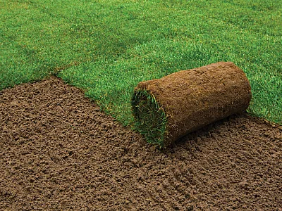 Photo courtesy of Adobe Stock/ikostudio.