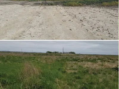Top: Saline–sodic soil near Clark, SD in 2017, before the first dormant planting of grasses. Bottom: Revegetated saline–sodic soil near Clark, SD, in May 2020. Photos by Cheryl Reese.