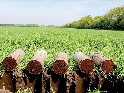 Researchers conducted an outdoor column study to compare the  behavior of bromide in arable topsoil to control columns contain- ing sand and fine gravel. Photo by GEUS/Christian Albers.