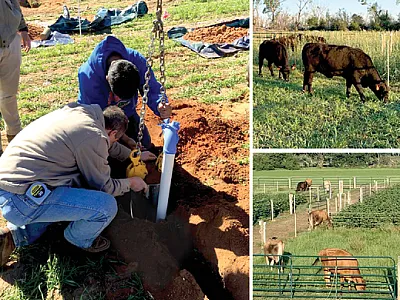 Left: The researchers installed a drain lysimeter at each plot at the beginning of the study. Right: Both cool-season (top) and warm-season (bottom) treatments consisted of different grazing intensities. Photos by Erick Santos.