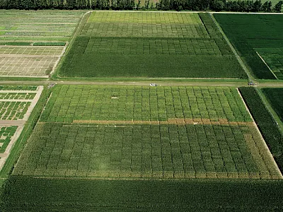 Aerial image of breeding trials for stress tolerance. Photo by Jeff Nelson/University of Wisconsin–Madison.