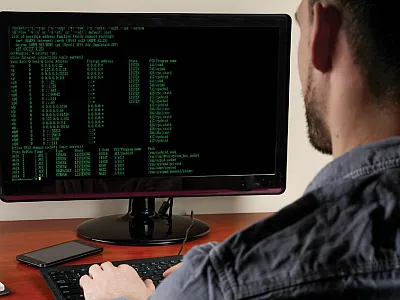 Agricultural researchers need to rely on software that can handle large amounts of data such as SAS, R programming language, and Python. Illustration courtesy of Adobe Stock/ Studio KIVI.