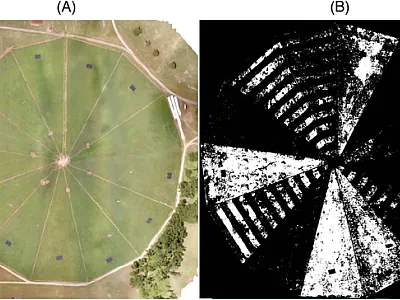 The above images illustrate precision agriculture in action. Left: A  drone image of a field in north Florida. Right: A map of weeds gen- erated by an artificial intelligence algorithm that supports weed  management in that same field. Using these tools to identify un- desirable plants for precision herbicide spraying saves labor and  costs. Images by University of Florida–NFREC, Marianna.