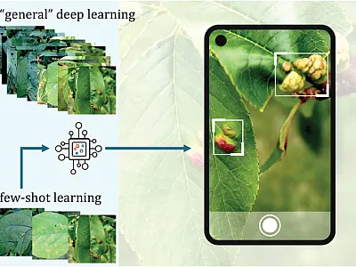 Few-shot learning allows machines to learn from a relatively small number of images, expanding the range of practical applications. Image courtesy of Jianqiang Sun.