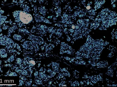N/A
