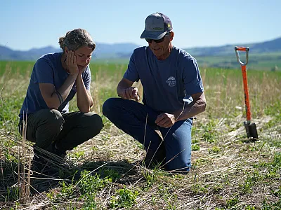 Photo courtesy of USDA-NRCS Montana and published under this license. 