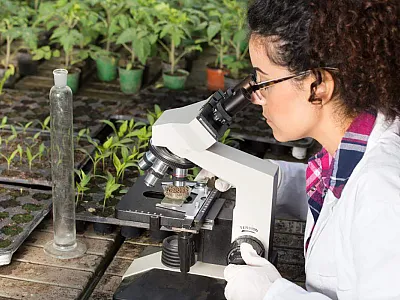 Woman looking into a microscope. 
