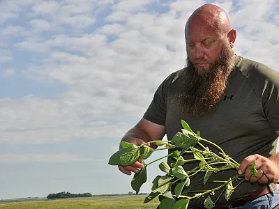 Lee Briese is a crop consultant with CENTROL in North Dakota and a Certified Crop Adviser (CCA).