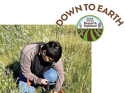 Turtle Mountain Community College student Fynn Pound, a Turtle Mountain Band of Chippewa Indians (TMBCI) citizen, identifying grassland plants. Photo by Stacie Blue.