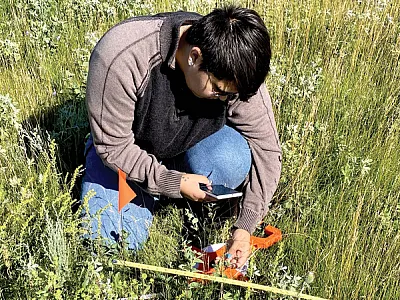 Turtle Mountain Community College student Fynn Pound, a Turtle Mountain Band of Chippewa Indians (TMBCI) citizen, identifying grassland plants. Photo by Stacie Blue.