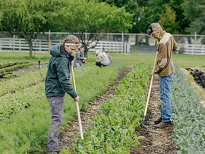 Photo courtesy of Flickr/Arkansas Agricultural Experiment Station (license: https://creativecommons.org/licenses/by/2.0/deed.en).
