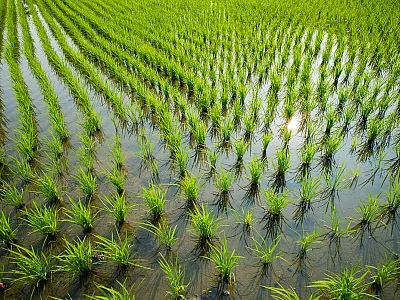 Photo courtesy of Adobe Stock/Richie Chan.
