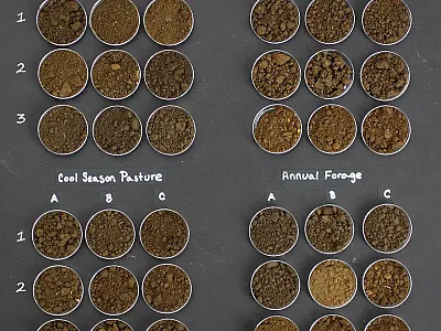Freshly sampled soils from across the farm. There was significant variability in soil texture and composition across the four management ecosystems, and even within each management system’s 3 spatial zones. Photo courtesy of Woods End Laboratories, LLC.