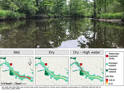 Top: The Newport River (pictured here) was the tidal freshwater system studied in this research. Bottom: Concentrations of reactive nitrogen were measured upstream and downstream of a wastewater treatment facility. Precipitation and tidal influence affected nitrogen pollution patterns in an estuarine tidal creek. Images by Anne Margaret Smiley.