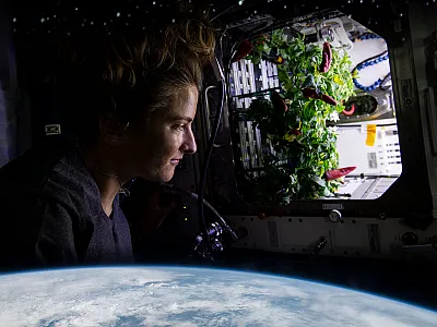 Astronaut Kayla Barron checks out chile peppers growing inside the International Space Station. Photo of Kayla and the Earth courtesy of NASA (under this license https://creativecommons.org/licenses/by-nc-nd/2.0/deed.en). Background space image courtesy of Adobe Stock (Iuliia Sokolovska).