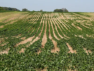 Photo courtesy of the United Soybean Board. 