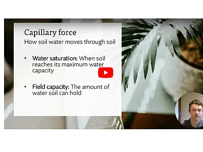 How soils hold water. 