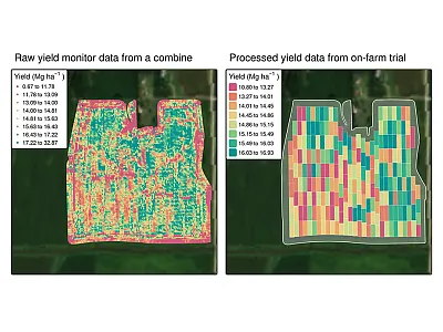 Comparison between raw yield data collected by a combine (left) and cleaned yield estimates for an on-farm trial (right). The white-shaded area in the cleaned map represents the experimental border. Image courtesy of Caio dos Santos and Data-Intensive Farm Management.