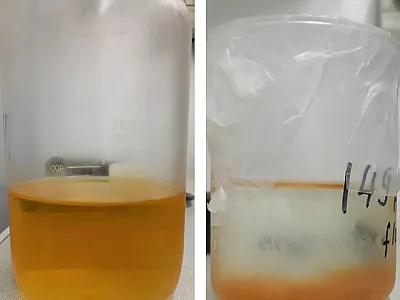 Dissolved organic matter used to produce models of Al in organic association. Right: Dissolved organic matter flocculated with Al ions as a model of Al in organic association. Photos courtesy of Thilo Rennert, University of Hohenheim.
