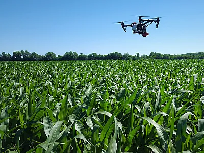 Photo by Laura Thompson.