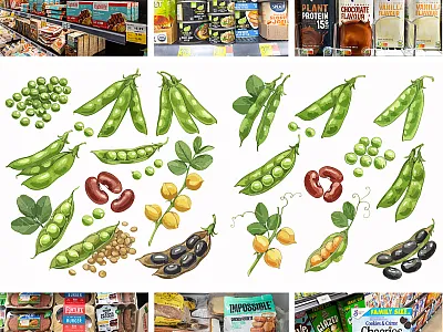 Cover illustrations courtesy of Adobe Stock: steheap, ColleenMichaels, studio, HelgaQ, sheilaf2002, and Jammer Gene.