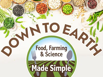 Down to Earth: Plant-based proteins