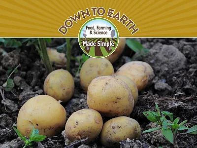 Photo courtesy of Pixabay/FotoRain.