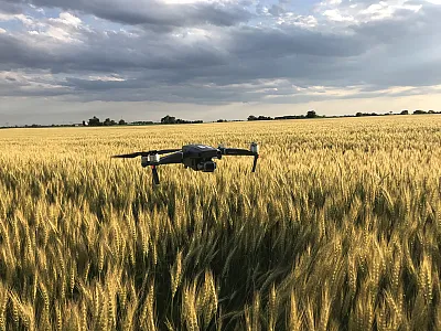 Using a drone to scout a wheat crop can efficiently pinpoint trouble areas across large acreage and is an example of utilizing precision agriculture technologies. Photo courtesy of Brad Bernhard.