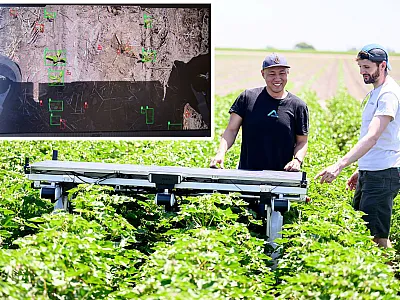 A solar-powered autonomous AI robot made by the company Aigen is used to distinguish crops from weeds in the field. Photo by Photo by JOSH EDELSON/AFP via Getty Images.