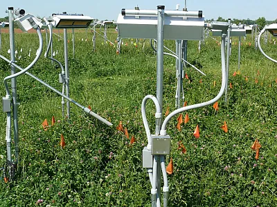 Experimental warming plot equipped with infrared heaters to maintain canopy temperature 3°C above ambient conditions. Photo courtesy of Jim Nelson, University of Kentucky.