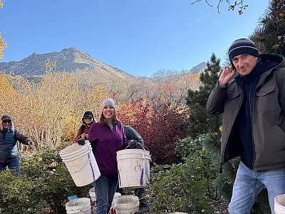 Society elected leadership and ACSESS staff volunteer at Red Butte Garden and Arboretum during CANVAS 2025.