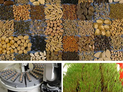 Photos courtesy of USDA.