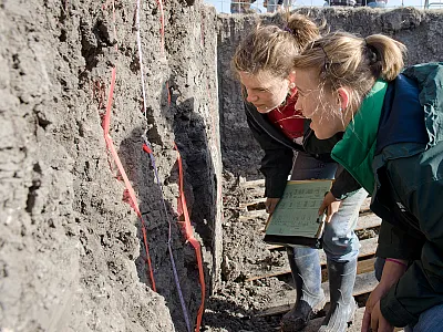 Photo courtesy of Wikimedia Commons/USDA NRCS Texas. 