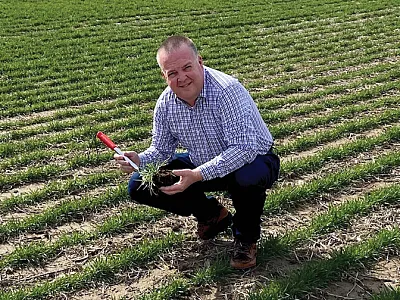 Rod Miller, International CCA of the Year, enjoys his time in the field with his growers in central Indiana maximizing production of corn, soybeans, and wheat.